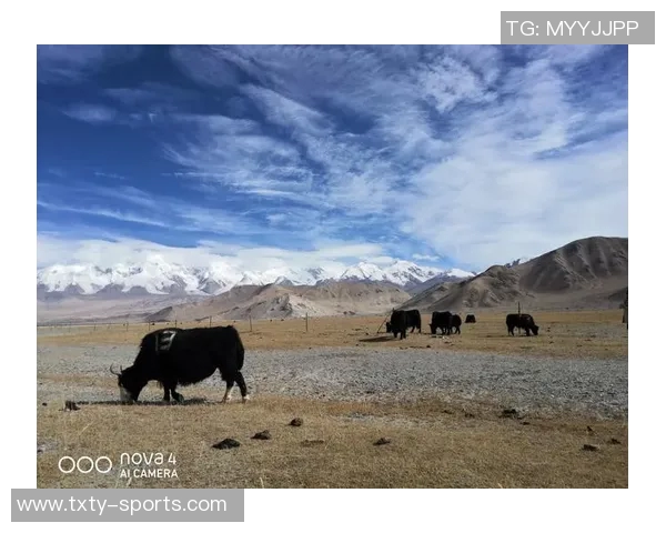 米诺特热爱绿军环境称这里的一切都超出了他的预期