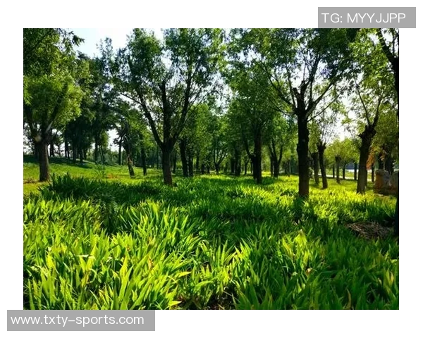 德科祝贺阿尔巴职业生涯圆满结束期待他未来的辉煌成就 德科祝贺阿尔巴职业生涯圆满结束期待他未来的辉煌成就