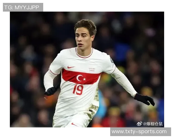 土耳其国家队新名单公布居莱尔恰尔汗奥卢伊尔迪兹入选乌尊未能入选 土耳其国家队新名单公布居莱尔恰尔汗奥卢伊尔迪兹入选乌尊未能入选